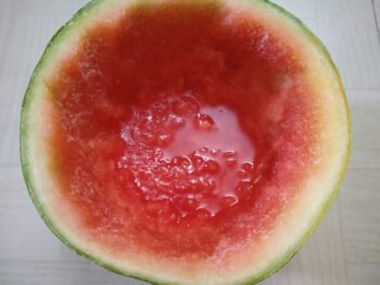 Frozen Creamy Watermelon - Plattershare - Recipes, food stories and food lovers