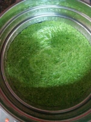Vibrant Spinach and Sprouted Moong Dal Dhokla: A Nutritious Twist on a Classic - Plattershare - Recipes, food stories and food lovers Vibrant Spinach and Sprouted Moong Dal Dhokla: A Nutritious Twist on a Classic - Plattershare - Recipes, food stories and food lovers