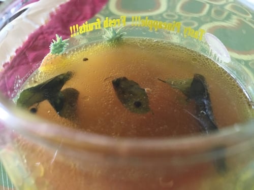 Tomato Rasam - Plattershare - Recipes, Food Stories And Food Enthusiasts