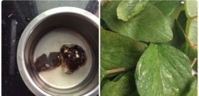 Vibrant Amaranth Leaves Chutney: A Flavorful Indian Condiment - Plattershare - Recipes, food stories and food lovers Vibrant Amaranth Leaves Chutney: A Flavorful Indian Condiment - Plattershare - Recipes, food stories and food lovers