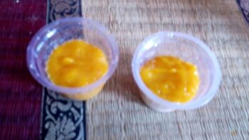 Mango Yogurt Popsicles - Plattershare - Recipes, food stories and food lovers