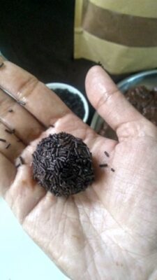 Irresistible Brazilian Brigadeiros: A Bite of Chocolate Heaven - Plattershare - Recipes, food stories and food lovers Irresistible Brazilian Brigadeiros: A Bite of Chocolate Heaven - Plattershare - Recipes, food stories and food lovers
