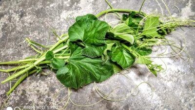 Luffa with Pumpkin Leaf Paste: A Vibrant Indian Homestyle Dish - Plattershare - Recipes, food stories and food lovers Luffa with Pumpkin Leaf Paste: A Vibrant Indian Homestyle Dish - Plattershare - Recipes, food stories and food lovers