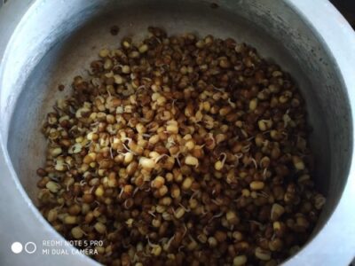 Sprouted Mung Bean Breakfast Bowl: A Healthy & Flavorful Start - Plattershare - Recipes, food stories and food lovers Sprouted Mung Bean Breakfast Bowl: A Healthy & Flavorful Start - Plattershare - Recipes, food stories and food lovers