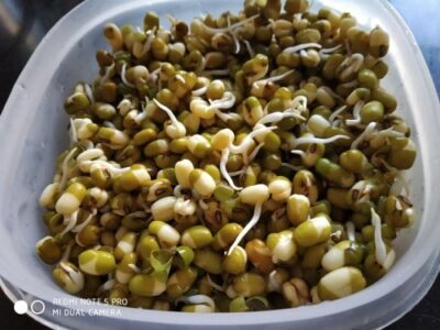 Sprouted Mung Bean Breakfast Bowl: A Healthy & Flavorful Start - Plattershare - Recipes, food stories and food lovers Sprouted Mung Bean Breakfast Bowl: A Healthy & Flavorful Start - Plattershare - Recipes, food stories and food lovers