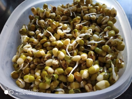 Healthy Breakfast With Sprouted Moong - Plattershare - Recipes, food stories and food enthusiasts