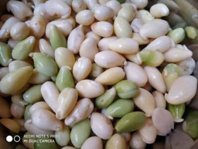 Nutritious Bengali Flat Bean Seed Pulse with Potatoes - Plattershare - Recipes, food stories and food lovers Nutritious Bengali Flat Bean Seed Pulse with Potatoes - Plattershare - Recipes, food stories and food lovers