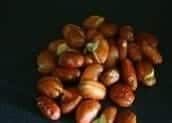 Jackfruit Seeds Cutlet - Plattershare - Recipes, food stories and food lovers
