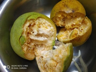 Tangy & Refreshing Wood Apple Chutney: A No-Cook Indian Delight - Plattershare - Recipes, food stories and food lovers Tangy & Refreshing Wood Apple Chutney: A No-Cook Indian Delight - Plattershare - Recipes, food stories and food lovers