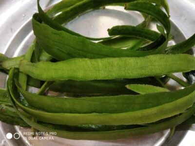 Zero-Waste Sponge Gourd Skin Chutney: A Flavorful Indian Condiment - Plattershare - Recipes, food stories and food lovers Zero-Waste Sponge Gourd Skin Chutney: A Flavorful Indian Condiment - Plattershare - Recipes, food stories and food lovers
