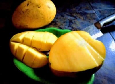 Mango Ice-cream - Plattershare - Recipes, food stories and food lovers Mango Ice-cream - Plattershare - Recipes, food stories and food lovers