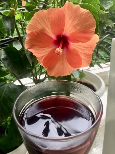 Hibiscus Tea - Plattershare - Recipes, food stories and food lovers