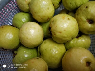 Guava Squash - Plattershare - Recipes, food stories and food lovers