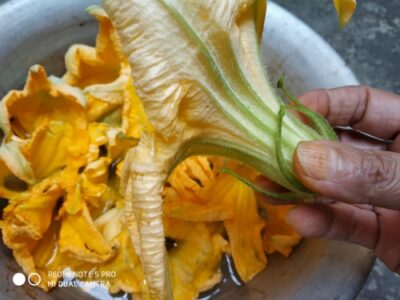 Pumpkin Flowers - Plattershare - Recipes, food stories and food lovers