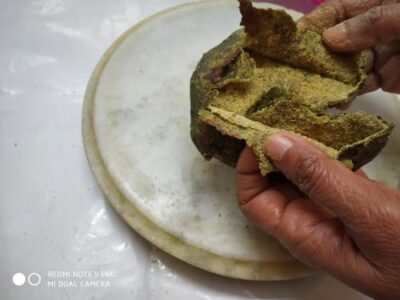 Moong Dal Paratha - Plattershare - Recipes, food stories and food lovers