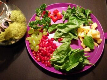Weightloss - Strawberry Salad - Plattershare - Recipes, food stories and food lovers