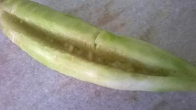 Stuffed Ridge Gourd Tawa Fry: A Delicious Khas Khas & Potato Filling - Plattershare - Recipes, food stories and food lovers Stuffed Ridge Gourd Tawa Fry: A Delicious Khas Khas & Potato Filling - Plattershare - Recipes, food stories and food lovers