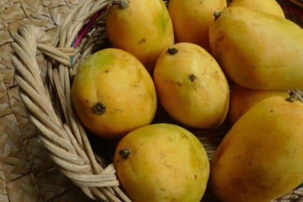 Its Summer Again!! Time To Eat Mangoes. - Plattershare - Recipes, Food Stories And Food Enthusiasts
