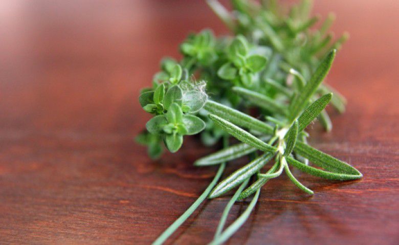 Grow Your Own Herbs - Plattershare - Recipes, Food Stories And Food Enthusiasts