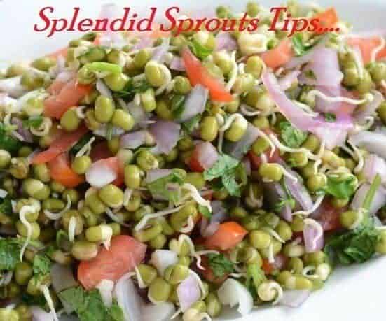 Splendid Sprouts - Plattershare - Recipes, Food Stories And Food Enthusiasts