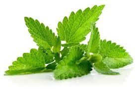 Secret Benefits Of Mint - Plattershare - Recipes, food stories and food lovers