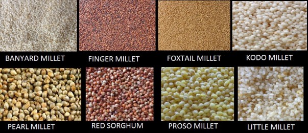 Its Me The Millet ! â€“ The Miracle Grains - Plattershare - Recipes, food stories and food lovers