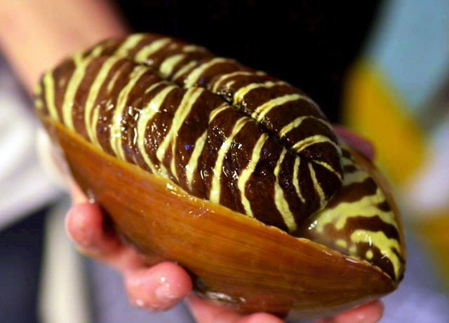 7 Reasons for a Culinary Trip To Taiwan - Plattershare - Recipes, food stories and food lovers 7 Reasons for a Culinary Trip To Taiwan - Plattershare - Recipes, food stories and food lovers