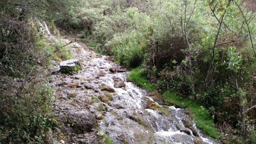 10 Things To Do For A Foodie In Uttarakhand - Plattershare - Recipes, food stories and food lovers 10 Things To Do For A Foodie In Uttarakhand - Plattershare - Recipes, food stories and food lovers