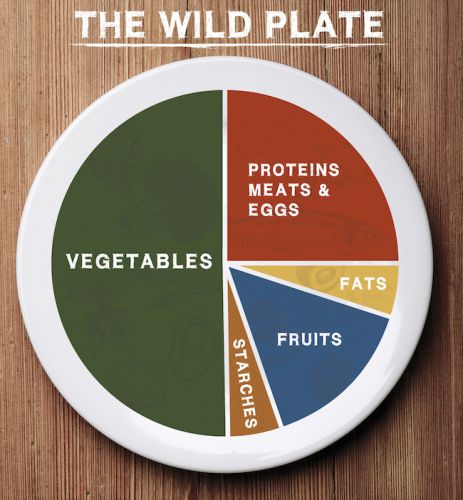 Fad Diets Facts, Fiction And Their Unrealistic Weight-loss Claims