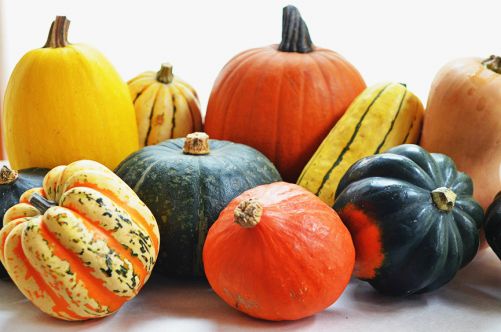 Is Squash or Pumpkin a Fruit or Vegetable? [INFOGRAPHIC] Types of Squash, Nutritional benefits, and much more... - Plattershare - Recipes, food stories and food lovers