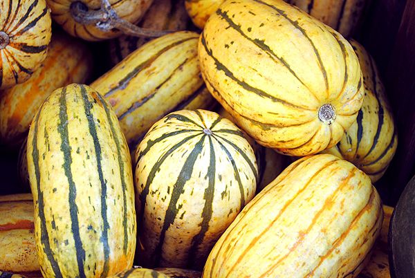 Is Squash or Pumpkin a Fruit or Vegetable? [INFOGRAPHIC] Types of Squash, Nutritional benefits, and much more...