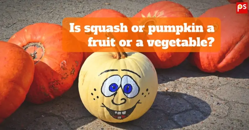 Is Squash Or Pumpkin A Fruit Or Vegetable? [Infographic] Types Of Squash, Nutritional Benefits, And Much More... - Plattershare - Recipes, Food Stories And Food Enthusiasts
