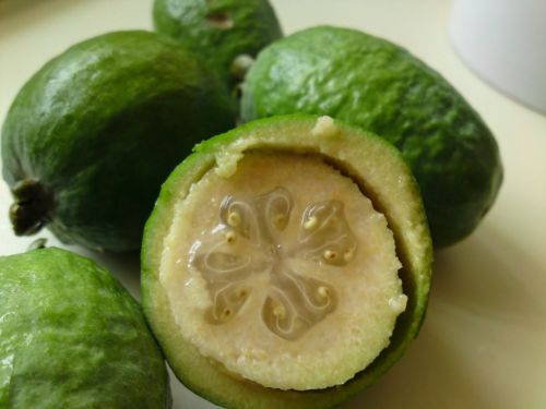 Around The World With Exotic Fruits - Plattershare - Recipes, Food Stories And Food Enthusiasts