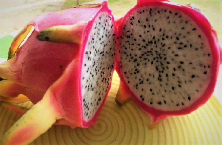 15 Exotic Fruits And Their Health Benefits