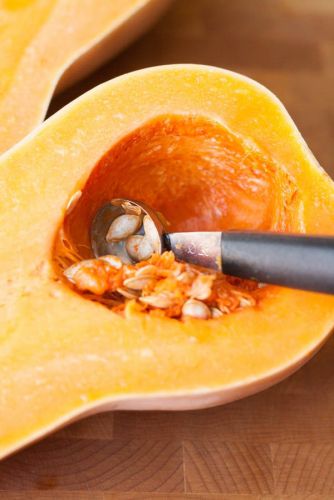 How to cut and boil Squash? How to preserve Squash? And other tips