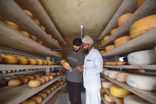 Himalayan Cheese In The Kashmir Valley - Plattershare - Recipes, Food Stories And Food Enthusiasts