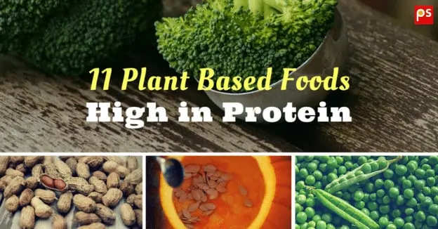 11 Plant Based High Protein Foods Including Vegetables For Vegetarians - Plattershare - Recipes, Food Stories And Food Enthusiasts