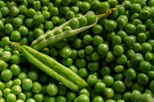 11 Plant Based High Protein foods including vegetables for vegetarians