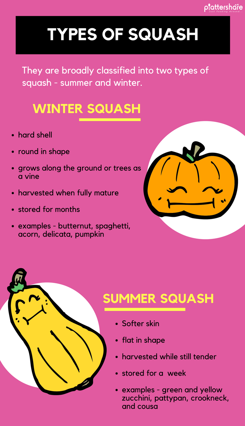 Is Squash or Pumpkin a Fruit or Vegetable? [INFOGRAPHIC] Types of Squash, Nutritional benefits, and much more...