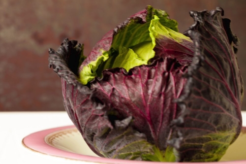 Cabbage Benefits for Health, Cabbage Vitamins & How To Grow Cabbage