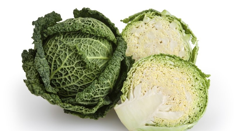 Cabbage Benefits for Health, Cabbage Vitamins & How To Grow Cabbage