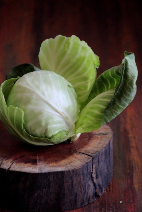 Cabbage Benefits for Health, Cabbage Vitamins & How To Grow Cabbage