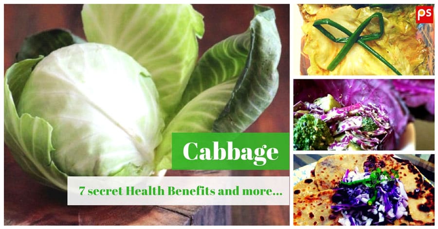7 Secret Cabbage Benefits for Health, Cabbage Vitamins & How To Grow Cabbage - Plattershare - Recipes, food stories and food lovers