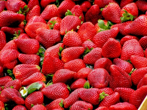 Types Of Berries, Health Benefits And Berry Recipes - Plattershare - Recipes, food stories and food lovers