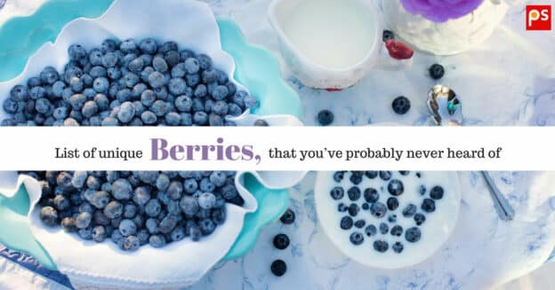 List Of Unique Berries That You'Ve Probably Never Heard Of (With Pictures) - Plattershare - Recipes, Food Stories And Food Enthusiasts