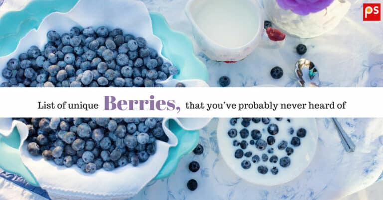 List Of Unique Berries That You've Probably Never Heard Of (With Pictures)