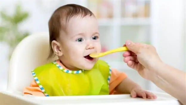 Essential Tools For Home Made Baby Food - Plattershare - Recipes, Food Stories And Food Enthusiasts