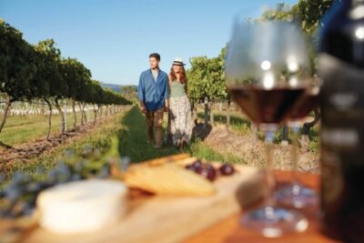 Single Vineyard Wines Variety Shiraz In Barossa Valley - Plattershare - Recipes, food stories and food lovers