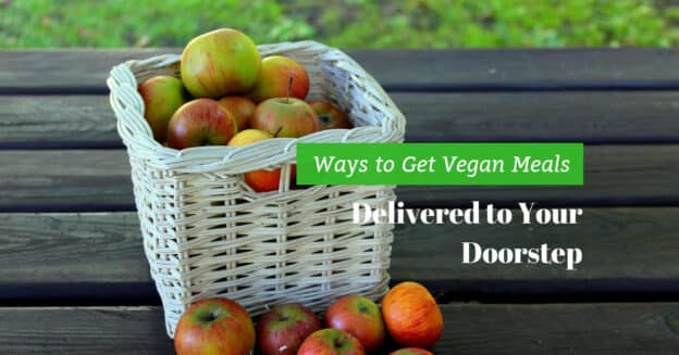Ways To Get Vegan Meals Delivered To Your Doorstep - Plattershare - Recipes, Food Stories And Food Enthusiasts