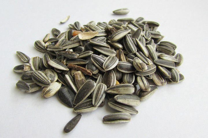 5 Seeds Which Have Made A Comeback - Plattershare - Recipes, food stories and food lovers